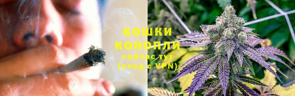 шишки Новозыбков