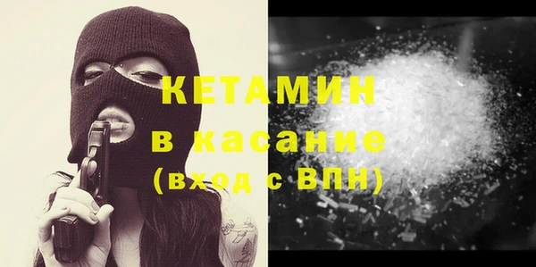 шишки Новозыбков