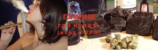 индика Новокубанск