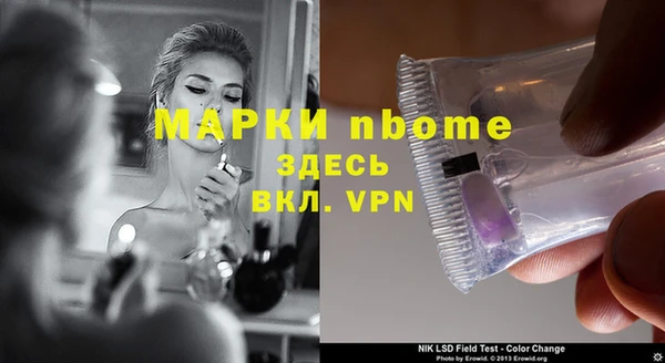 индика Няндома