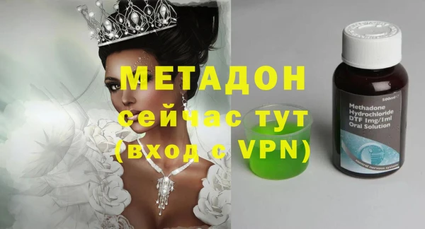 шишки Новозыбков