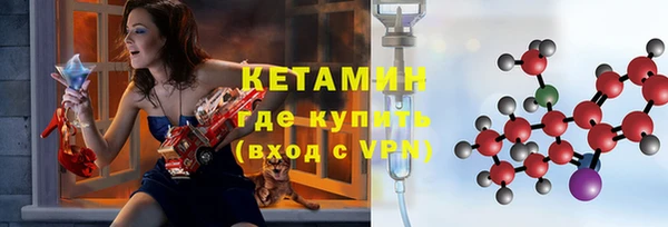 индика Няндома