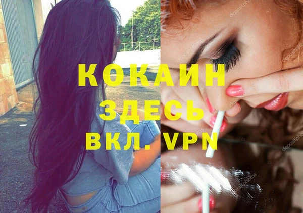 индика Новокубанск