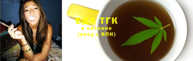 индика Новокубанск