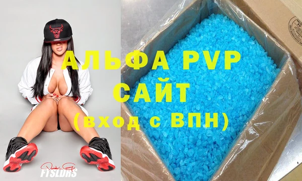 шишки Новозыбков