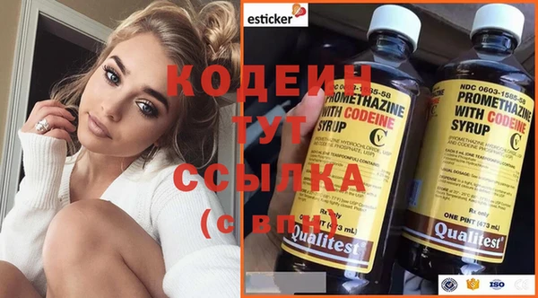 шишки Новозыбков