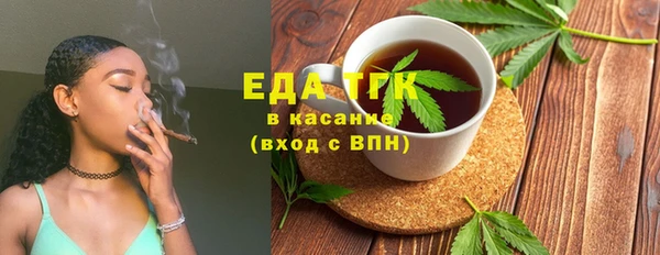индика Няндома