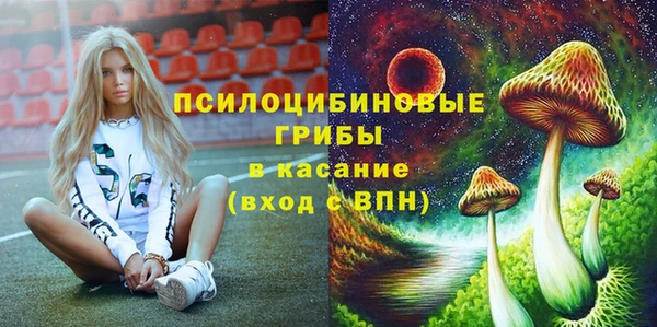 индика Новокубанск
