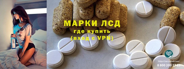 индика Новокубанск